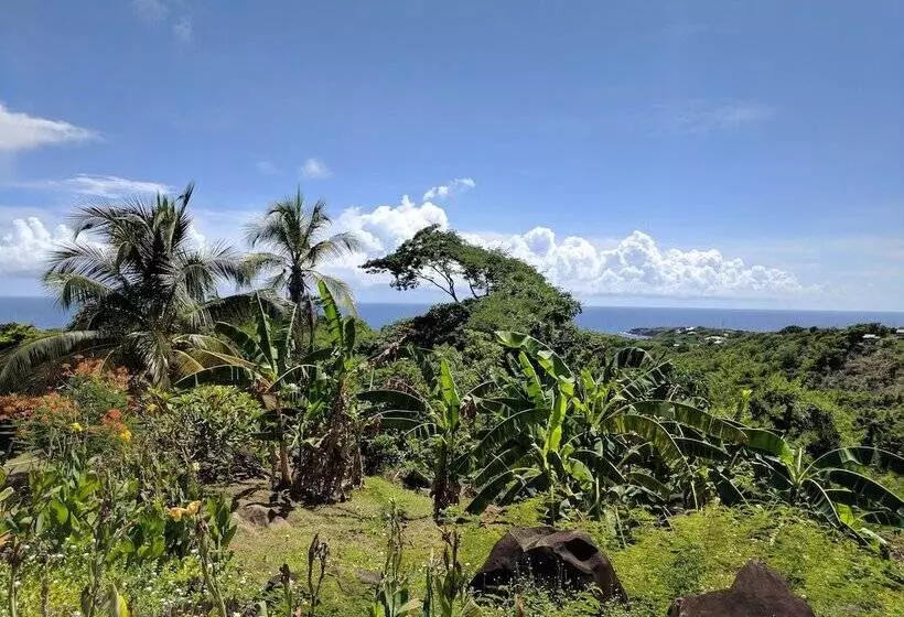 پانسیون Big Sky Lodge