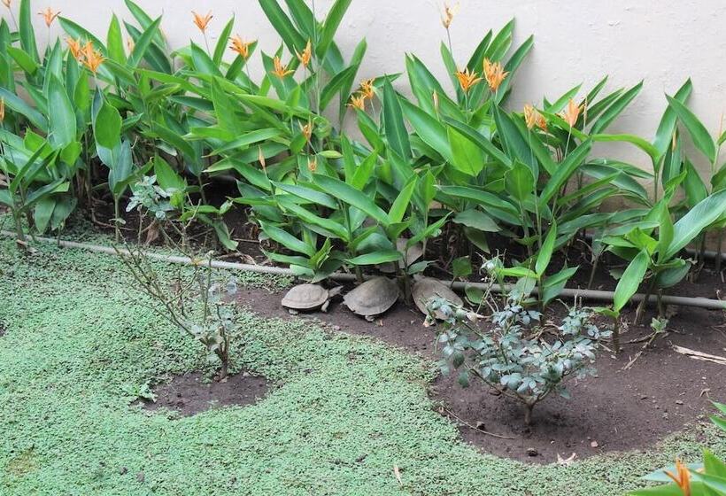 Пансион Casona Colonial