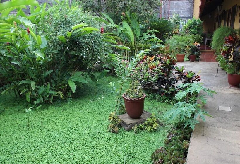 Пансион Casona Colonial