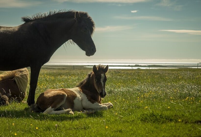 پانسیون Kast Guesthouse