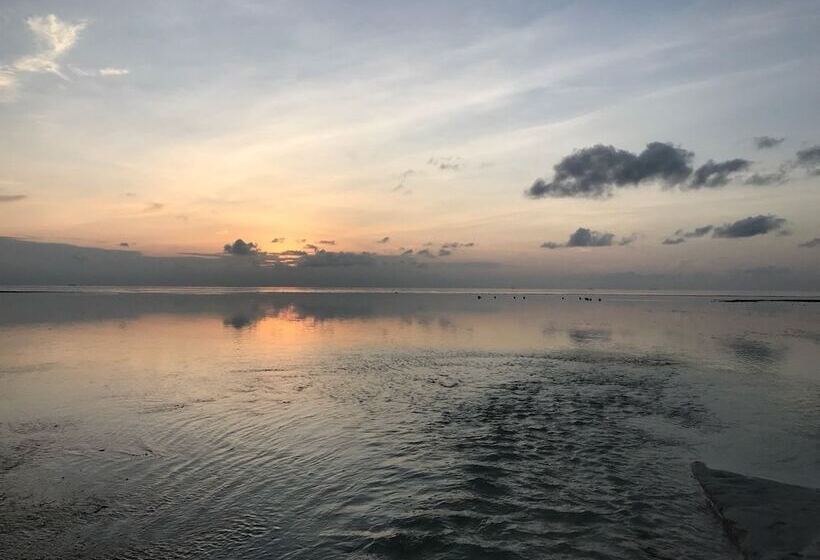 پانسیون Sunnyside Maamendhoo