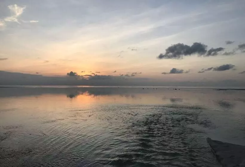 پانسیون Sunnyside Maamendhoo