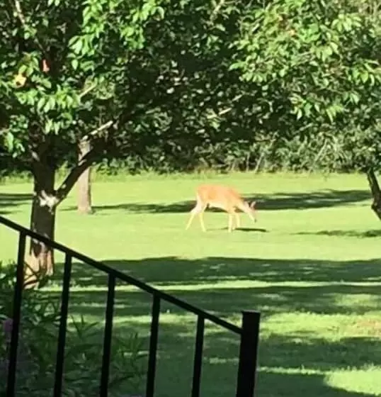 Sisters On Sycamore Bed & Breakfast