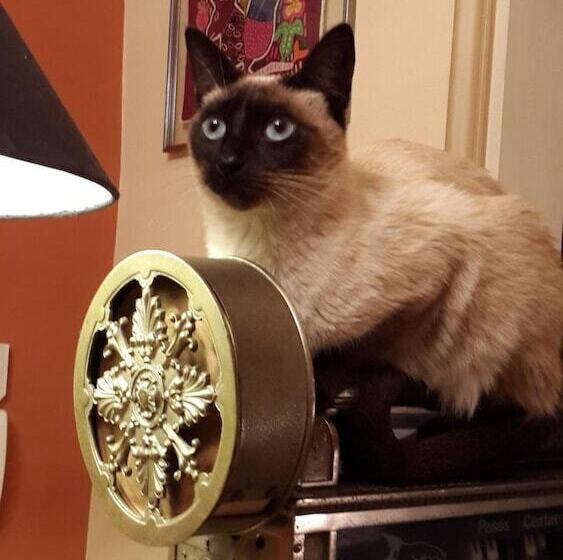 Villa Floreal Hotel Boutique