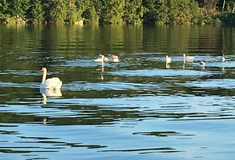 Watermark Waterfront Cottages