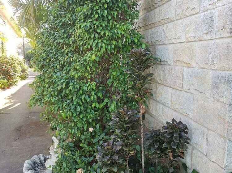 A Country View Motel Ilbilbie