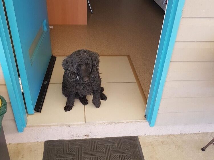 A Country View Motel Ilbilbie