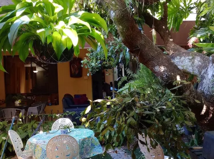 ベッドアンドブレックファースト Antiguo