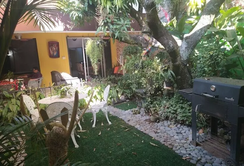 ベッドアンドブレックファースト Antiguo