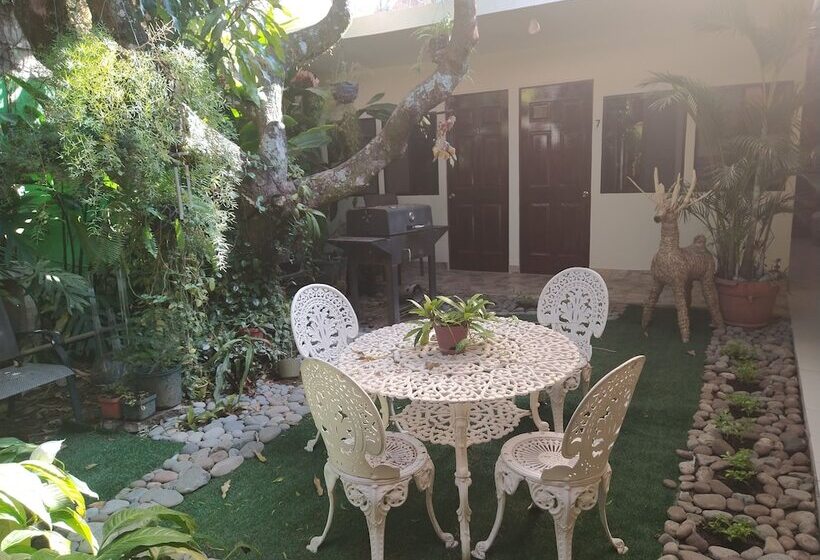 تختخواب و صبحانه Antiguo