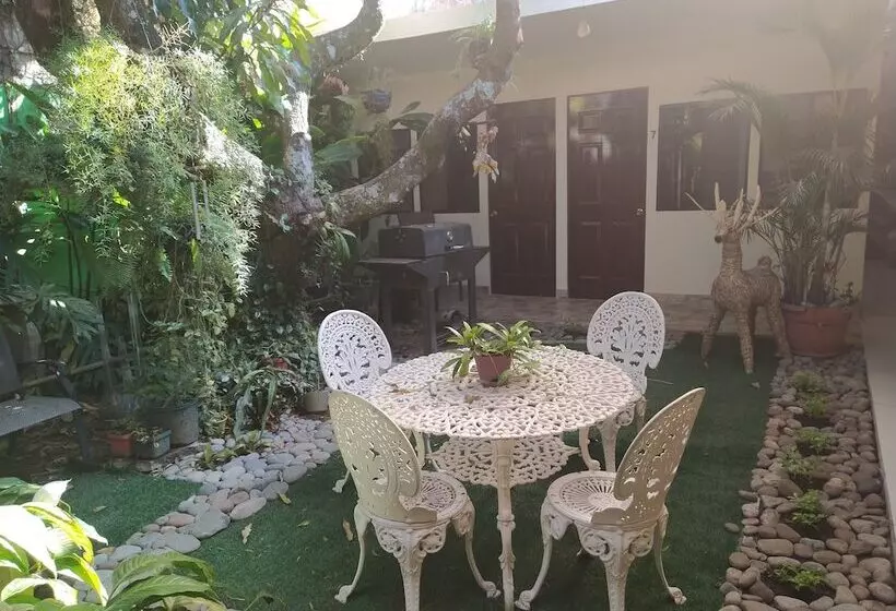 ベッドアンドブレックファースト Antiguo