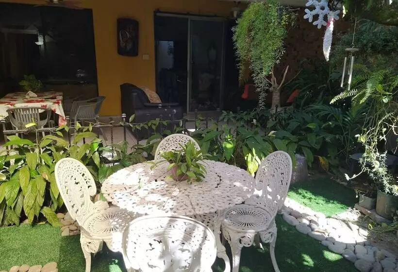 ベッドアンドブレックファースト Antiguo