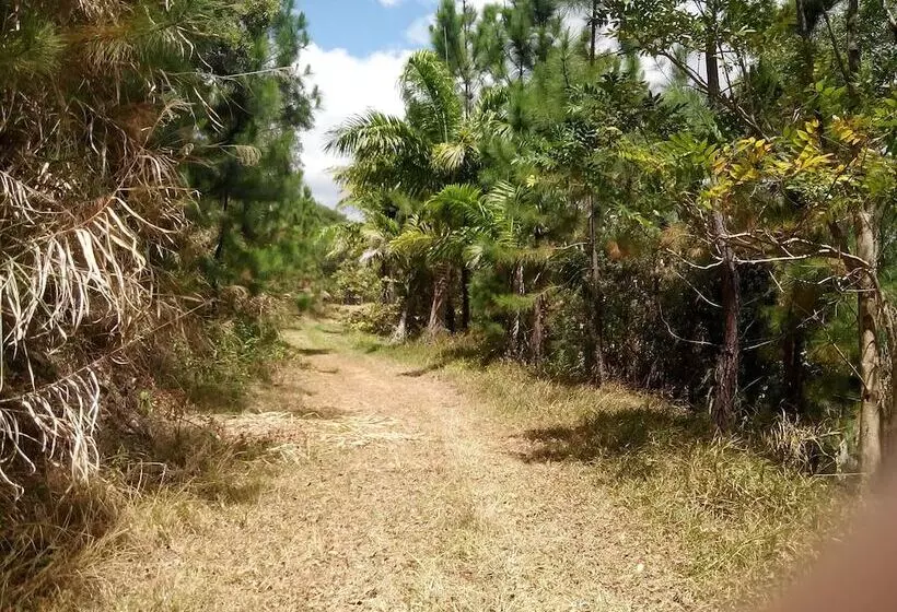 تختخواب و صبحانه Gîte Domaine De La Ferme D Erambere Lot 67 Route De La Nondoue
