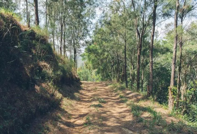 تختخواب و صبحانه Gîte Domaine De La Ferme D Erambere Lot 67 Route De La Nondoue
