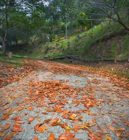 تختخواب و صبحانه Gîte Domaine De La Ferme D Erambere Lot 67 Route De La Nondoue