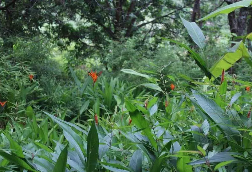 تختخواب و صبحانه Cham Island Smiles Homestay