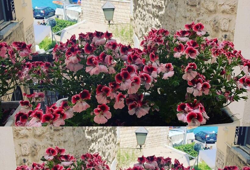 مبيت وإفطار La Banchina Holiday Rooms