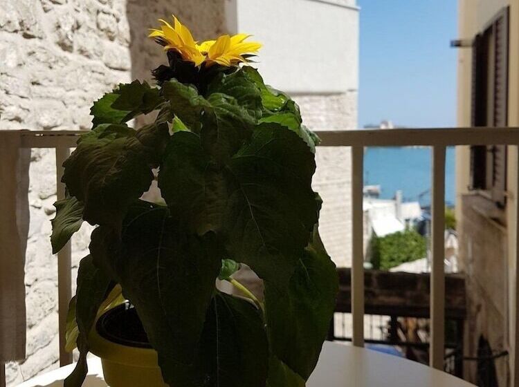 مبيت وإفطار La Banchina Holiday Rooms