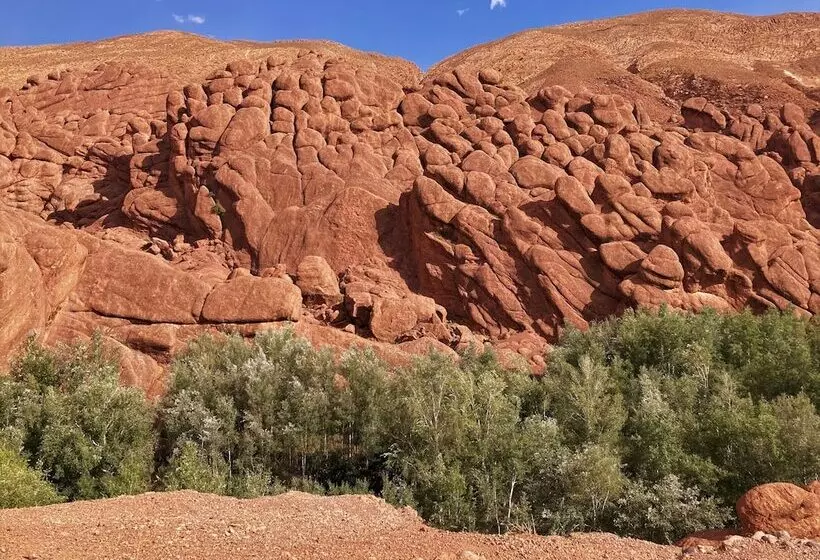 Aamiaismajoitus (B&B) Maison D Hote Argana