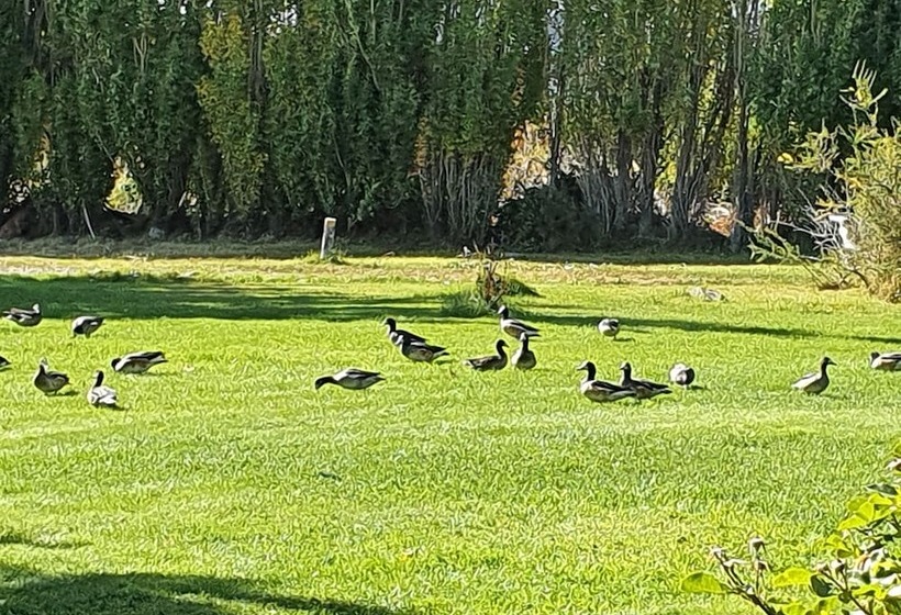 Cabañas Normana Inn