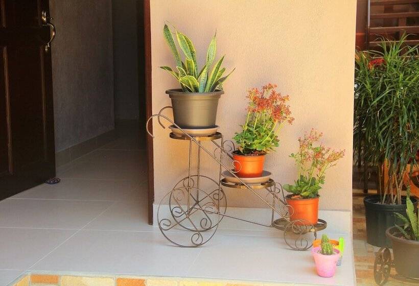 Cabinas Mansión Tropical Quepos