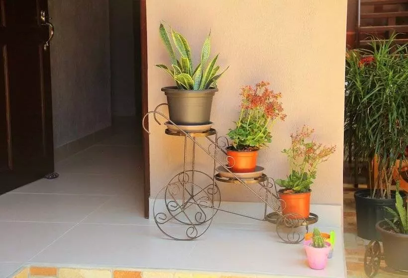 Cabinas Mansión Tropical Quepos