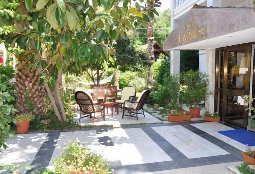 فندق Carikci