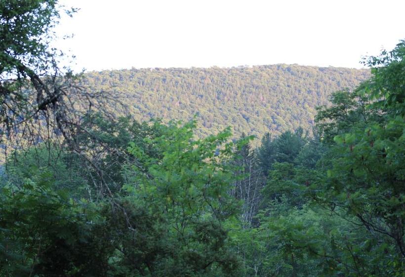 ホテル Catskill Seasons Inn