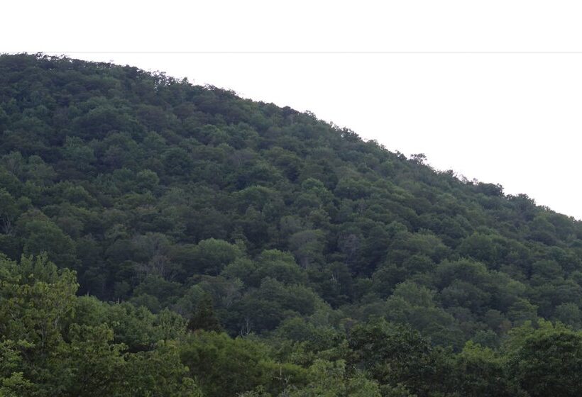 ホテル Catskill Seasons Inn