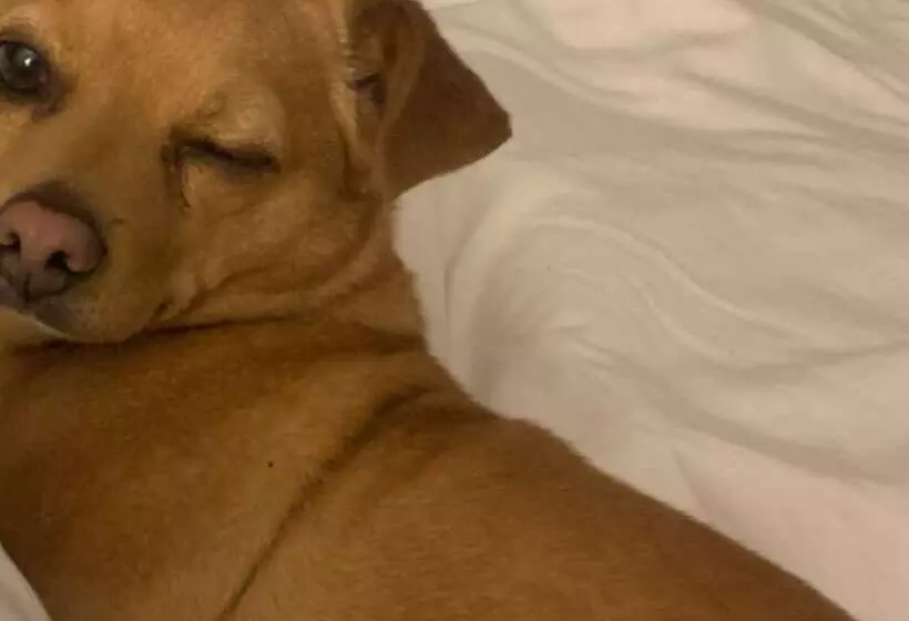 Hotelli Catskill Seasons Inn