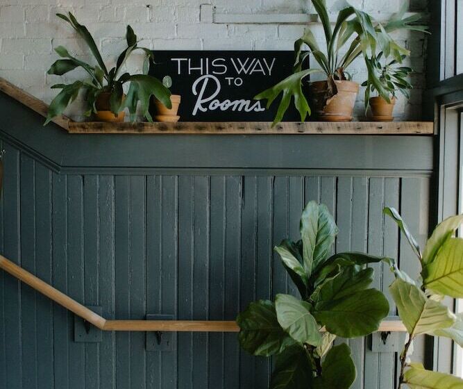 בית מלון כפרי Culture Boutique