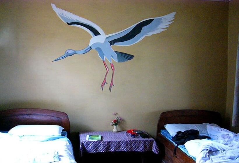 هتل Island Jungle Resort