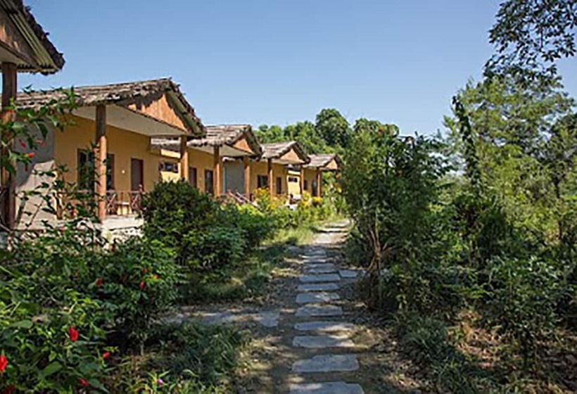 هتل Island Jungle Resort