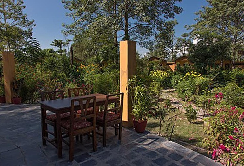 هتل Island Jungle Resort