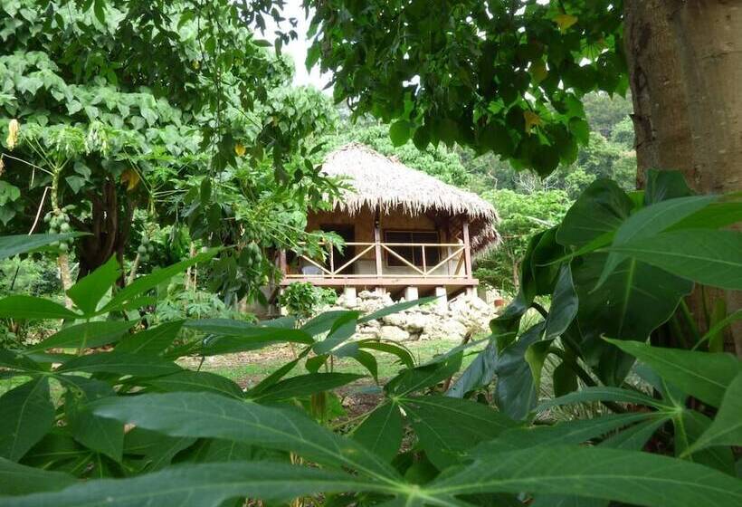 هتل Malekula Holiday Villas