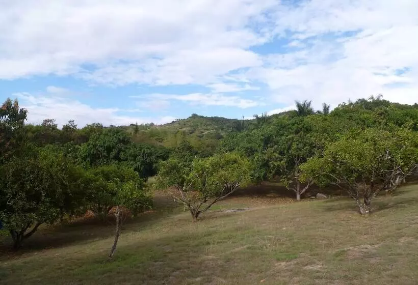 ホテル Manati   Finca