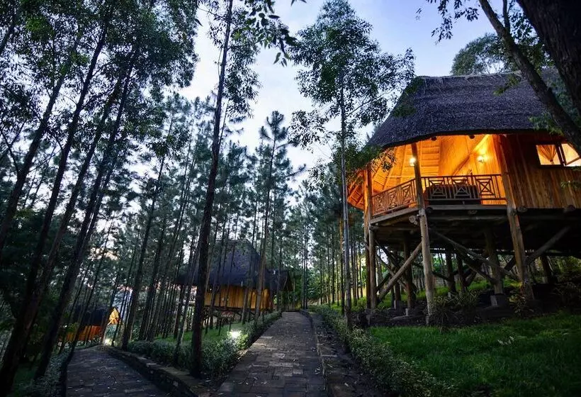 هتل Parkview Safari Lodge