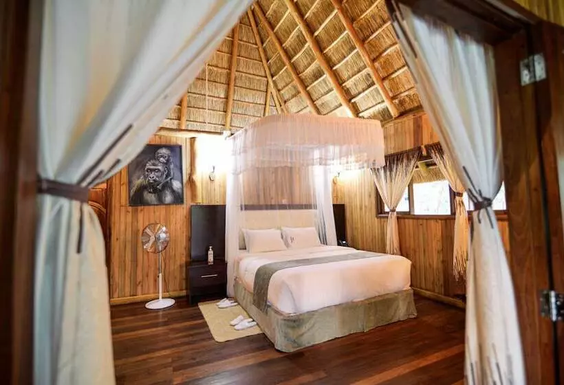 هتل Parkview Safari Lodge