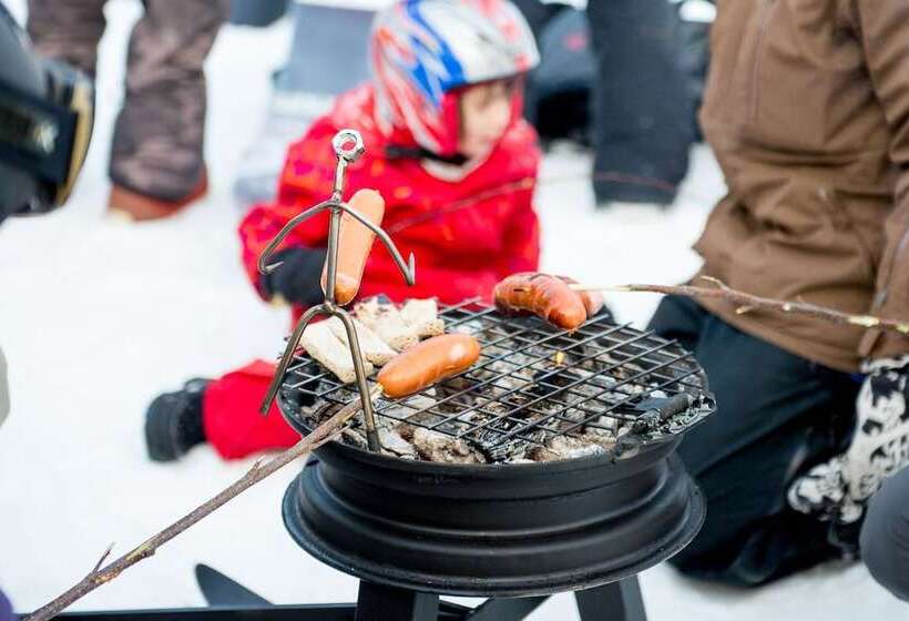 Otel Svanstein Lodge