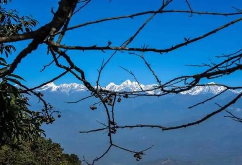 هتل The Ranimahal