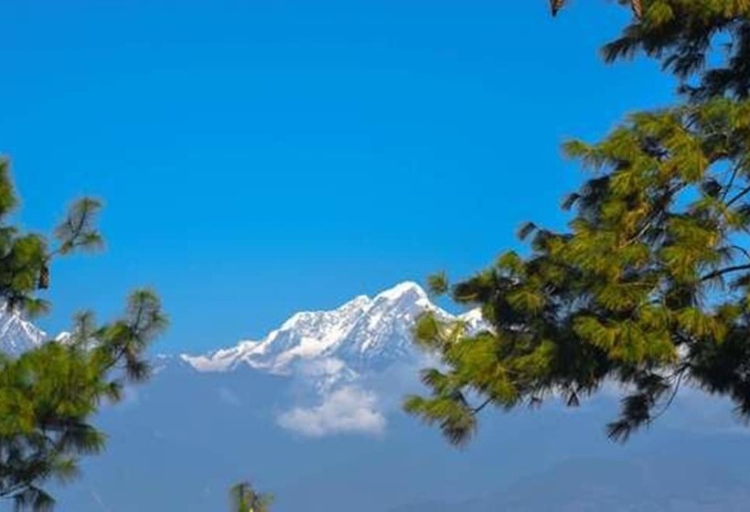 هتل The Ranimahal