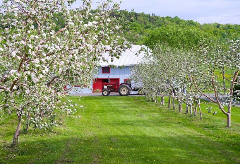 Motel île D Orléans