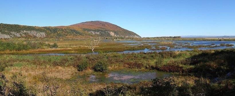 Motel île D Orléans