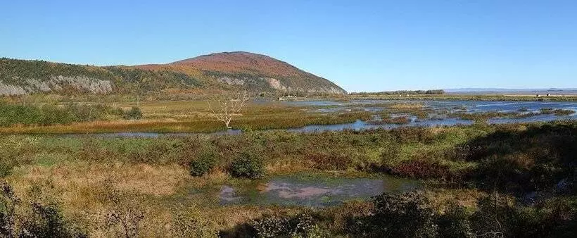 Motel île D Orléans