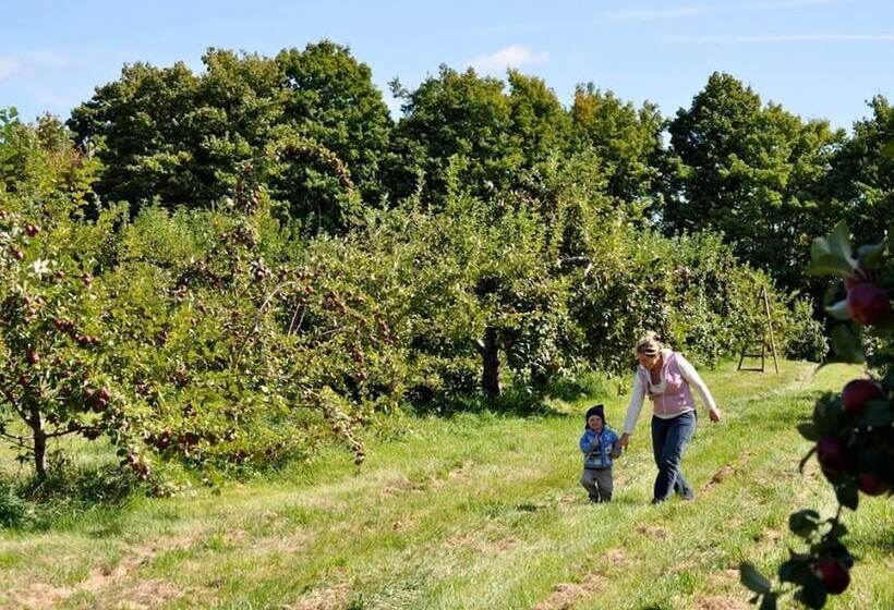 Motel île D Orléans