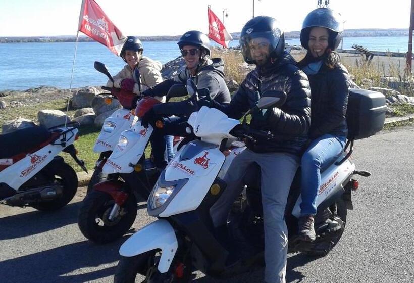 Motel île D Orléans