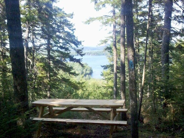 モーテル Moose Mountain Inn