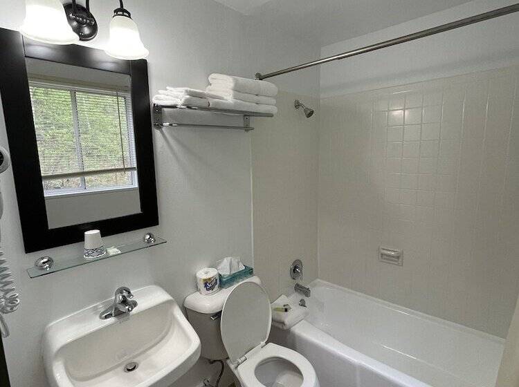 モーテル Moose Mountain Inn