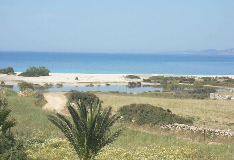 פנסיון Aeraki Studios & Apartments