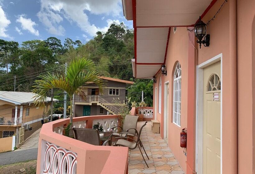 پانسیون Carolyn S View Guest House